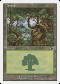 Forest 「S99/170」「EN」