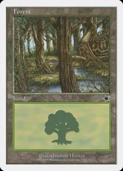 Forest 「S99/171」「EN」