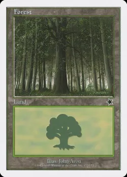 Forest 「S99/172」「EN」
