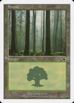 Forest 「S99/173」「EN」