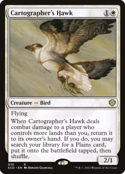 Cartographer's Hawk #10 · Magic: The Gathering