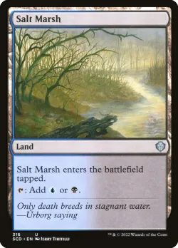 Salt Marsh 「SCD/316」「EN」