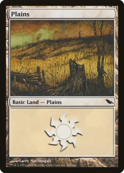 Plains 「SHM/285」「EN」