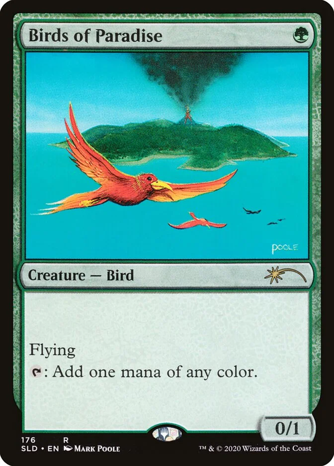 Birds of Paradise 「SLD/176」「EN」