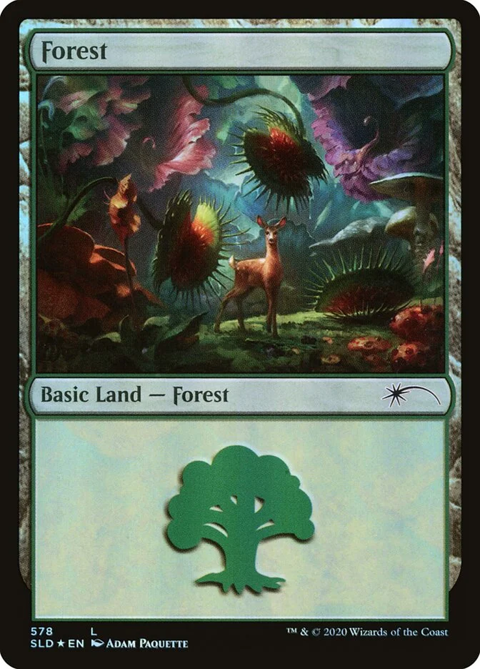 Forest 「SLD/578」「EN」
