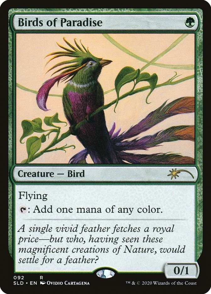 Birds of Paradise 「SLD/92」「EN」