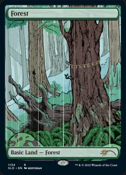 Forest #1134 · Magic: The Gathering