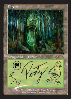 Forest #1194 · Magic: The Gathering
