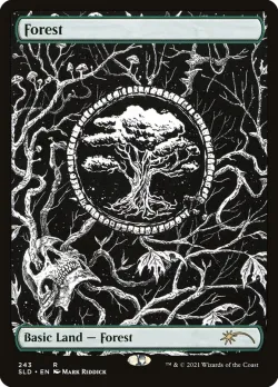 Forest #243 · Magic: The Gathering