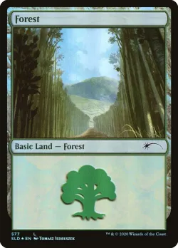 Forest #577 · Magic: The Gathering