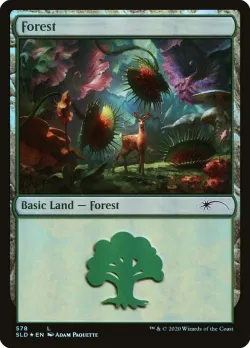 Forest #578 · Magic: The Gathering