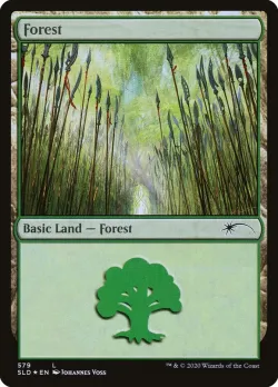 Forest #579 · Magic: The Gathering