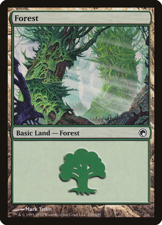 Forest 「SOM/246」「EN」