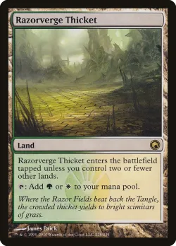 Razorverge Thicket 「SOM/228」「EN」