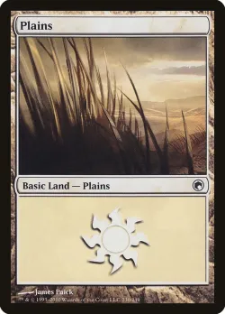 Plains 「SOM/230」「EN」