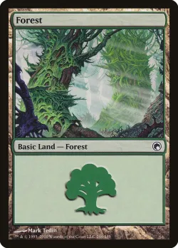 Forest 「SOM/246」「EN」