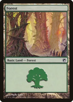Forest 「SOM/249」「EN」