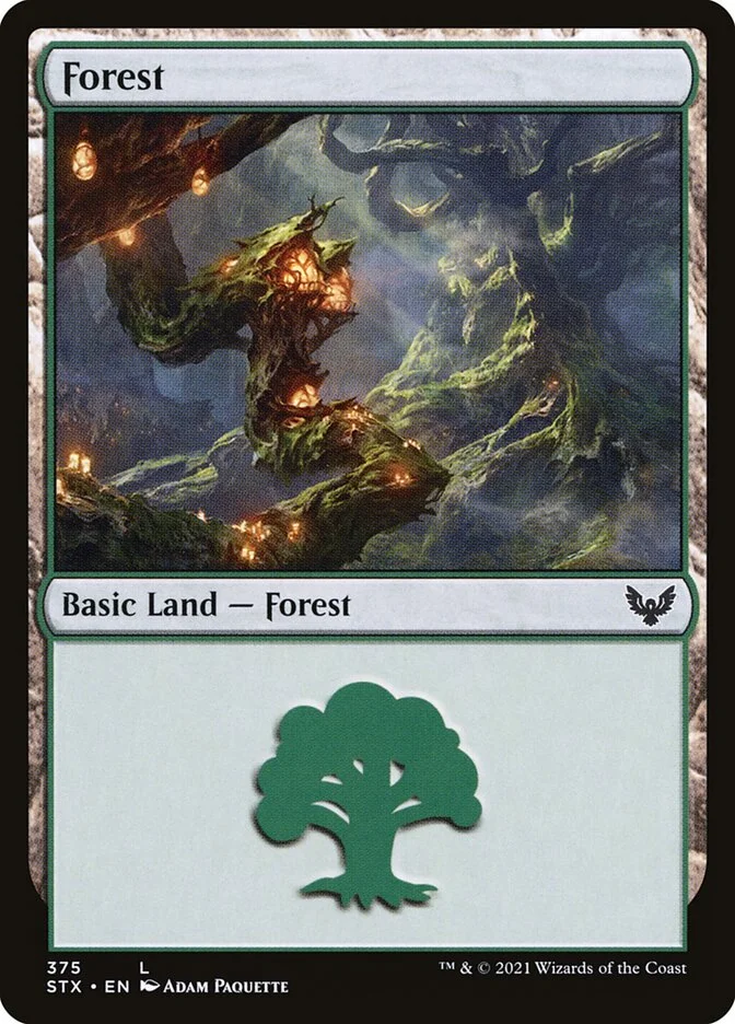 Forest 「STX/375」「EN」