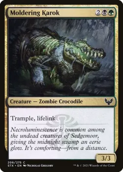 Moldering Karok #206 · Magic: The Gathering