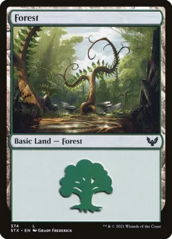 Forest 「STX/374」「EN」