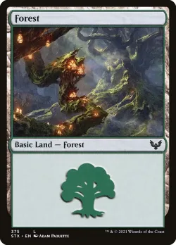Forest 「STX/375」「EN」