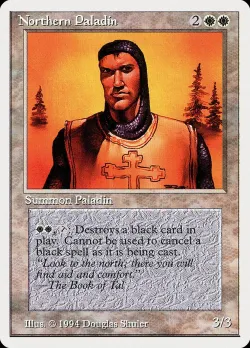 Northern Paladin #29 · Magic: The Gathering