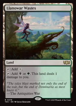 Llanowar Wastes 「TDC/376」「EN」
