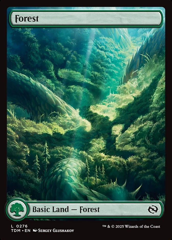 Forest 「TDM/276」「EN」