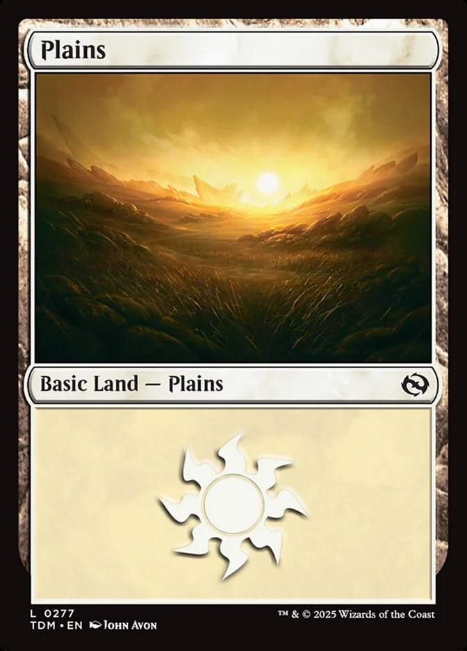 Plains 「TDM/277」「EN」