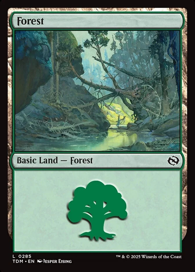Forest 「TDM/285」「EN」