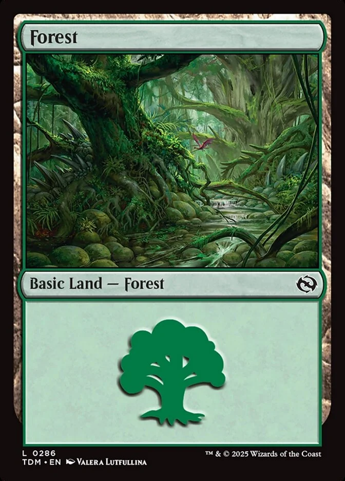Forest 「TDM/286」「EN」