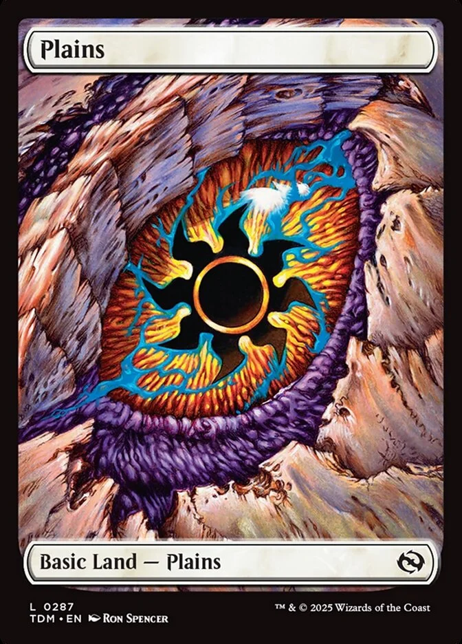 Plains 「TDM/287」「EN」