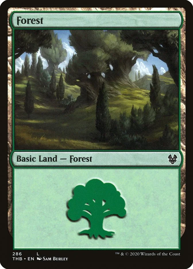 Forest 「THB/286」「EN」