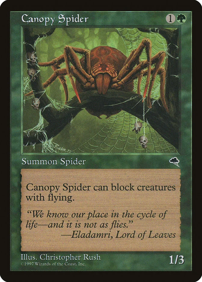 Canopy Spider 「TMP/217」「EN」