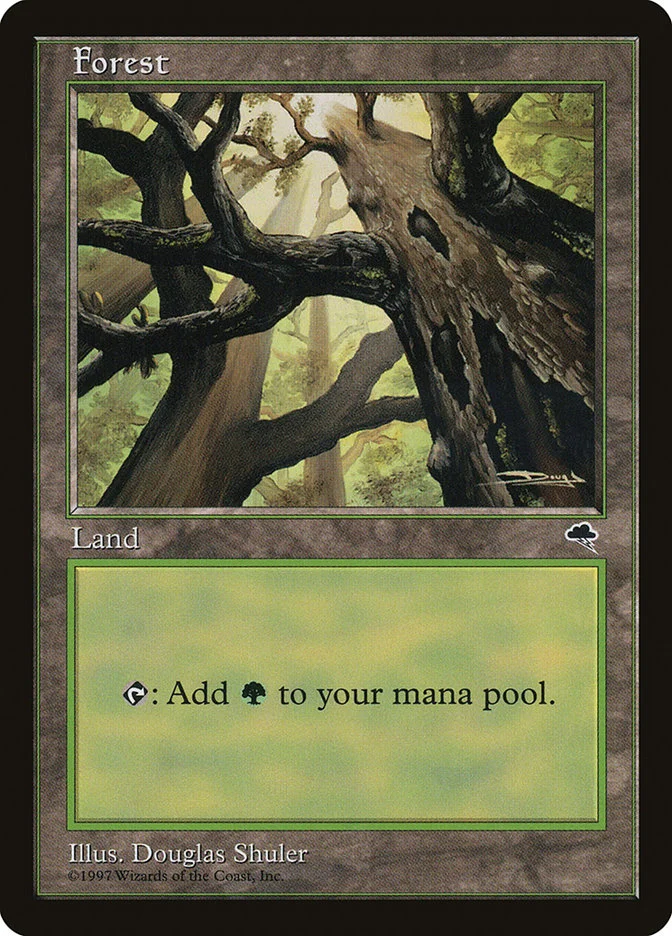 Forest 「TMP/347」「EN」