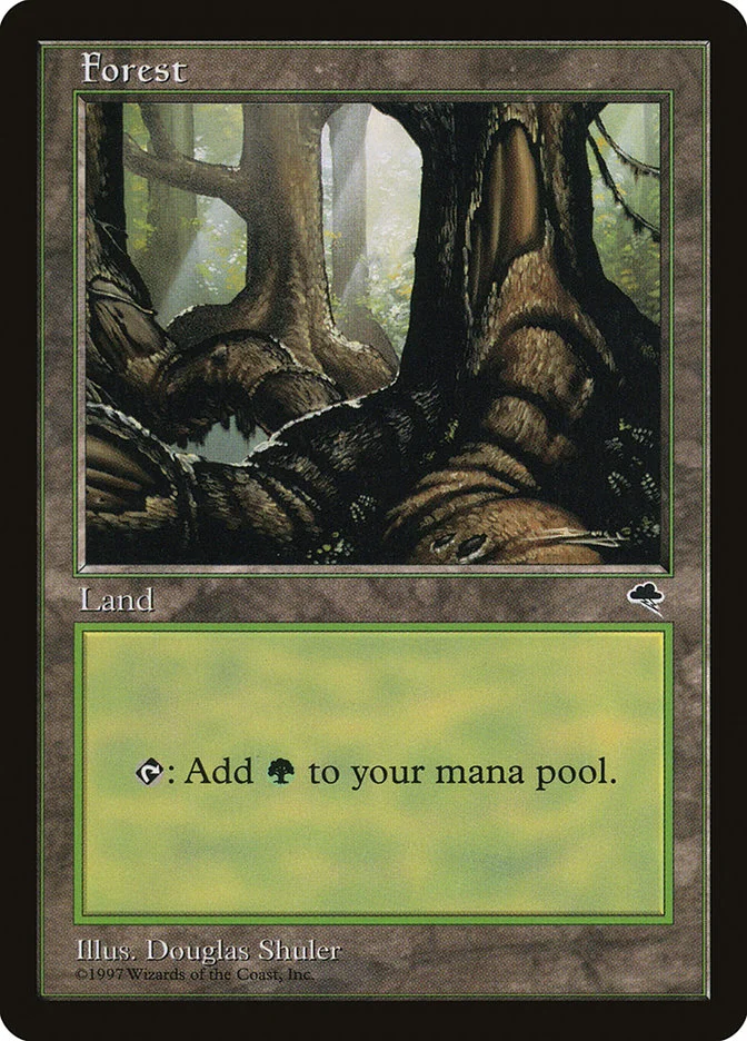 Forest 「TMP/348」「EN」