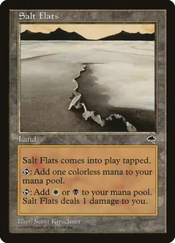 Salt Flats 「TMP/324」「EN」