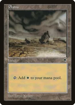 Plains 「TMP/331」「EN」