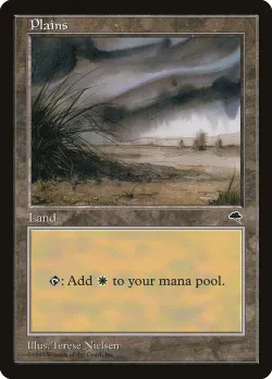 Plains 「TMP/333」「EN」