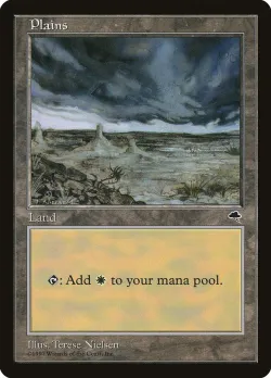Plains 「TMP/334」「EN」