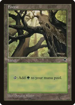Forest 「TMP/347」「EN」