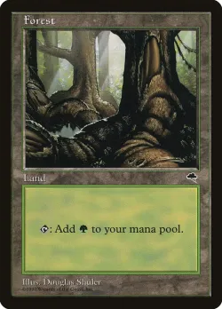 Forest 「TMP/348」「EN」