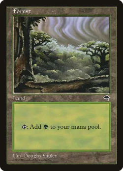 Forest 「TMP/349」「EN」