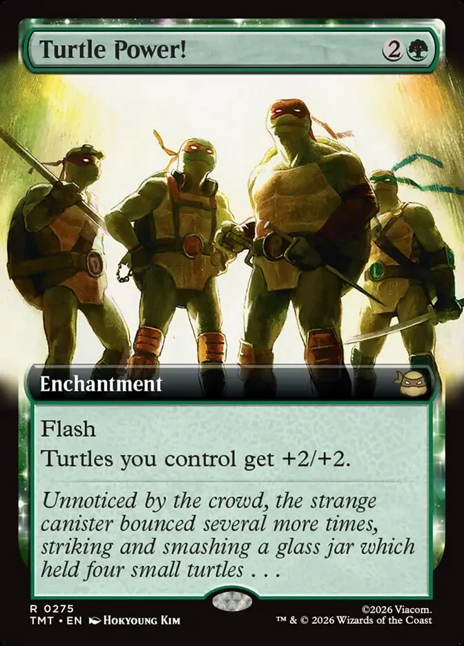 Turtle Power! 「TMT/275」「EN」