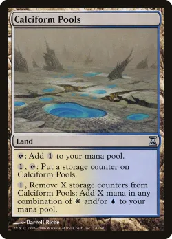 Calciform Pools 「TSP/270」「EN」