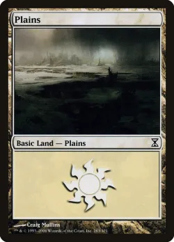 Plains 「TSP/283」「EN」