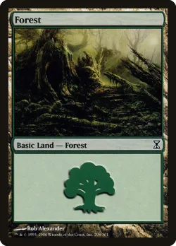 Forest 「TSP/298」「EN」