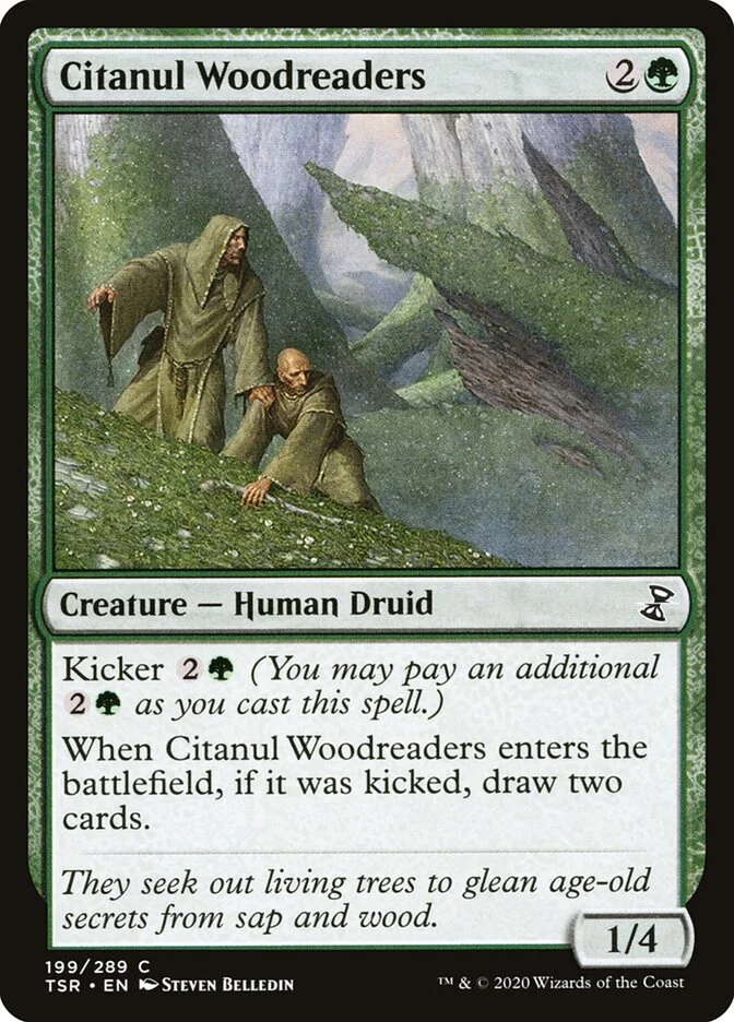 Citanul Woodreaders 「TSR/199」「EN」