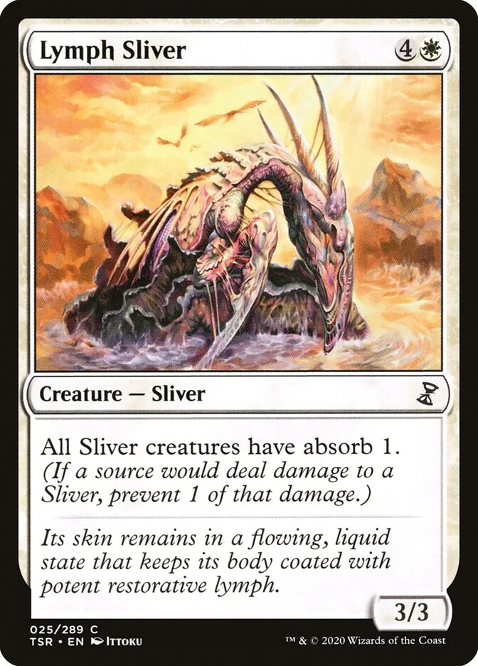 Lymph Sliver 「TSR/25」「EN」