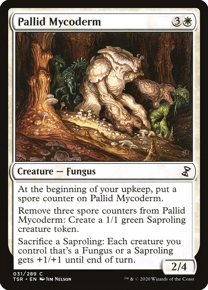 Pallid Mycoderm 「TSR/31」「EN」